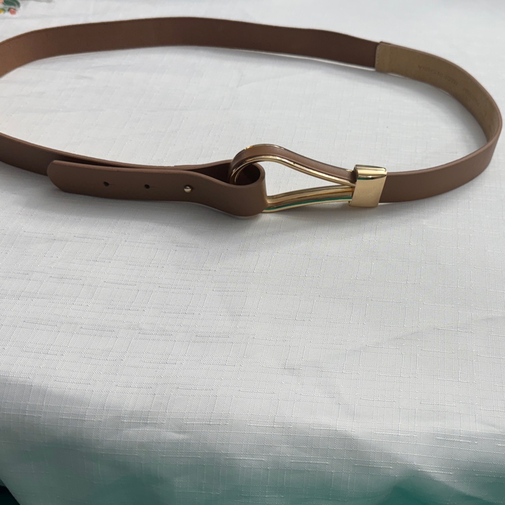 Elegant Brown Belt with Gold Buckle
